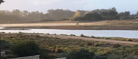 Vista da propriedade