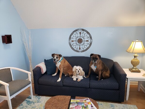 Our Fur-Babies welcome You to Scalliwags!