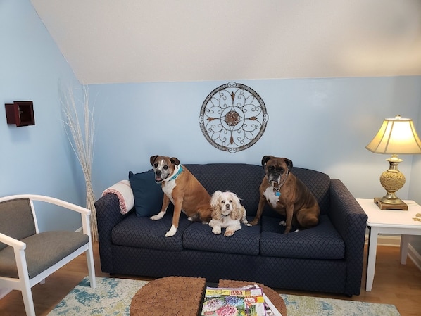 Our Fur-Babies welcome You to Scalliwags!
