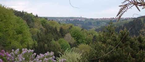 View from one of the kitchen’s windows