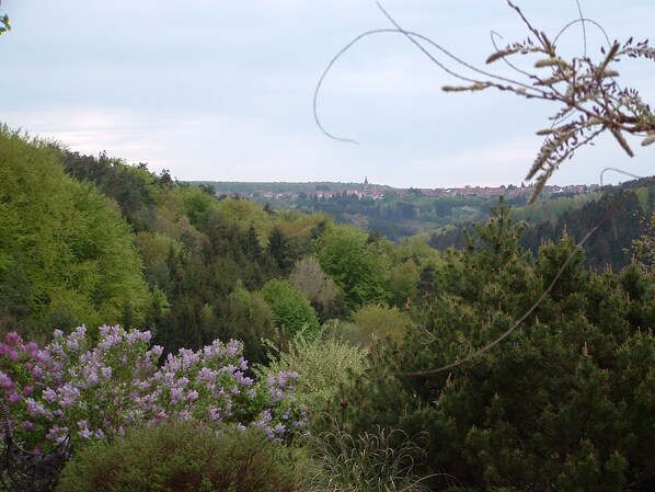 Vue depuis d'une des fenêtres de la cuisine