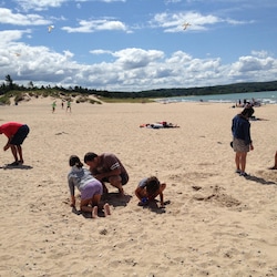 Some people go swimming at the State Park, we search for Petoskey stones