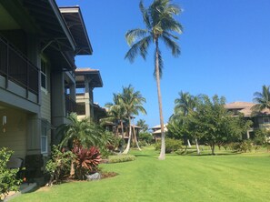 Balcony of Condo