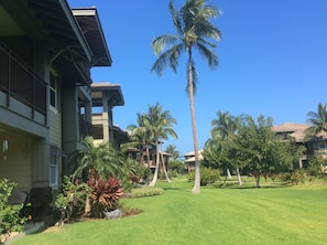 Balcony of Condo