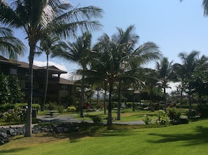 Barbecue area