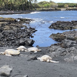 Black sand beach