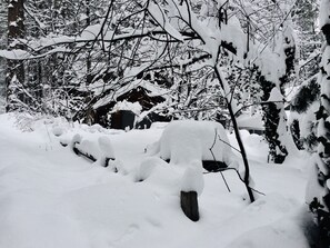 Winter wonderland at the cabin where we are 10 degrees cooler than Sedona