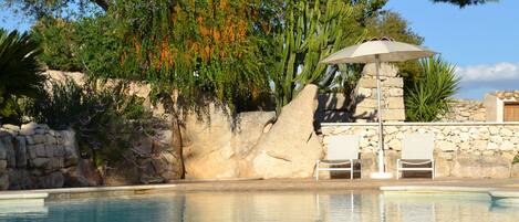 The Shared Garden and Pool Area