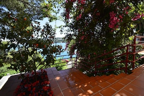 Entrance to Villa Nautica
with beautiful Bouganvil and counquat tree