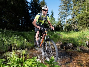 Hotel Schöne Aussicht, (Hornberg), LHS 00813-Mountainbike und Fahrradtouren in der idyllischen Natur