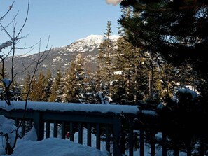 View from private patio