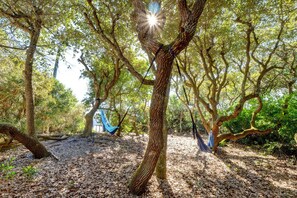 RELAX IN THE LIVE OAKS WITH SOUNDS OF THE OCEAN