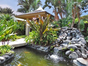 Cascading waterfall into Koi Pond