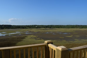 Marsh view from back deck, perfect for bird and wildlife watching