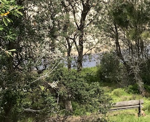 Access to the beach track begins directly in front of the house