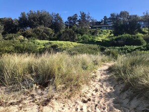 beach track in front of house connects to LSC cafe & golf course at south end