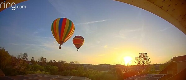 Panoramic Views with no Rear Neighbours