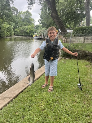Fish caught July 2025 at bulkhead in backyard of Birdsong Cabin.