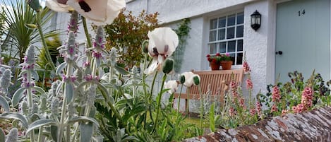 Rosebud Holiday Cottage 