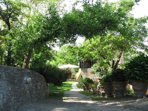 Garden, Park