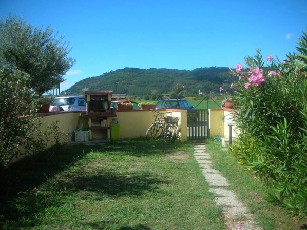 Garden, Park