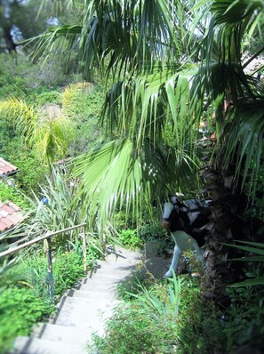 accès studio