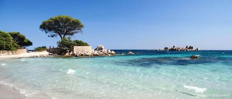plage palombaggia