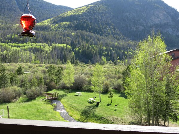 View from property
