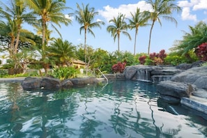 Beautiful pool at the Palm Villas
