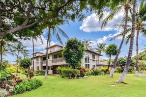 Beautiful grounds at Palm Villas