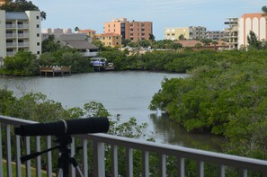 View from the Master Bedroom