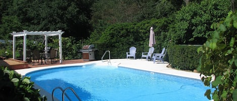 Pool and the backyard