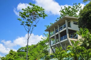 Perched over the jungle