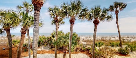 Direct Oceanfront View from Private Deck