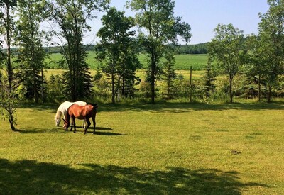 Peaceful Country B & B "Your Home Away From Home"