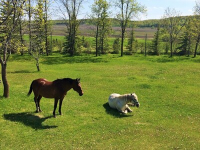 Peaceful Country B & B "Your Home Away From Home"