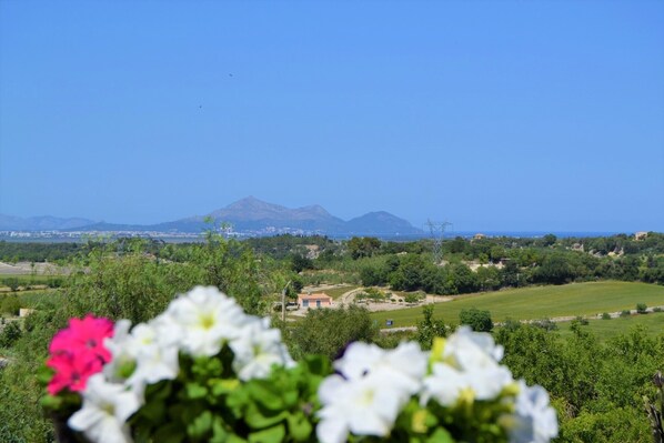 From 100 € per day you can rent your villa in Mallorca