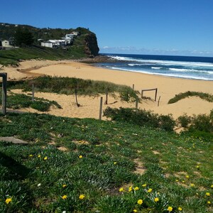 Cute  hideaway on Central Coast NSW      ( SORRY.... NO PETS)