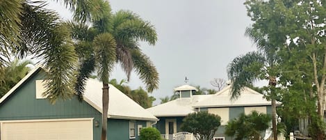 Exteriör