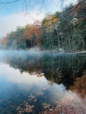 fall foliage
