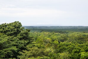 Oklassificerad bild, 5 av 24, knapp