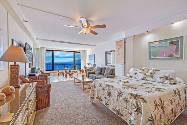Jr Suite view from Entryway