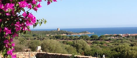 Vista mare dalla casa