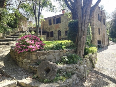 Ancient mill of 1500, in a natural park, near the sea and the city