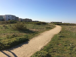 施設の敷地
