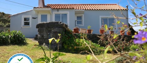 Rückansicht des Hauses mit der Terrasse und dem gemauerten Grill im Vordergrund