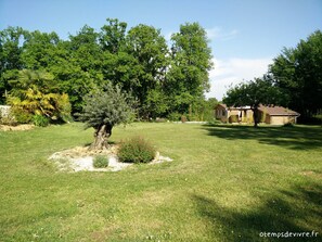 Vue sur le cottage et son olivier centenaire