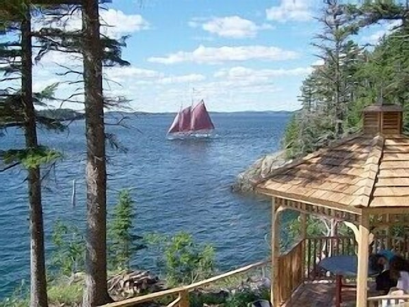 Screened in Gazebo with amazing close up views of the whales and seals and eagle