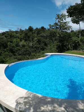 Beautiful pool with jungle and ocean views