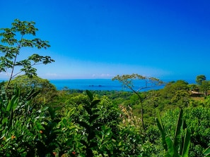 From the Casita enjoy Panoramic Ocean Views near the beautiful Whale's tail 